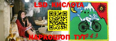 ГАЛЛЮЦИНОГЕННЫЕ ГРИБЫ Тулун