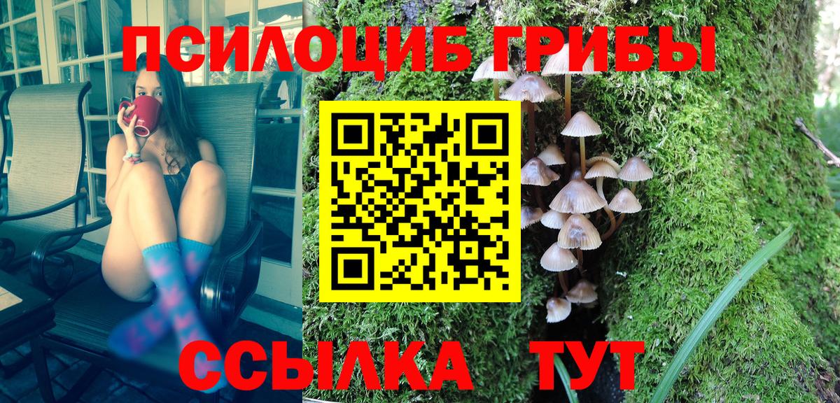 Галлюциногенные грибы Psilocybine cubensis  Вход с VPN  Новосибирск 