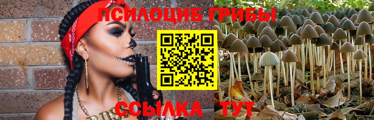Галлюциногенные грибы мухоморы Новосибирск